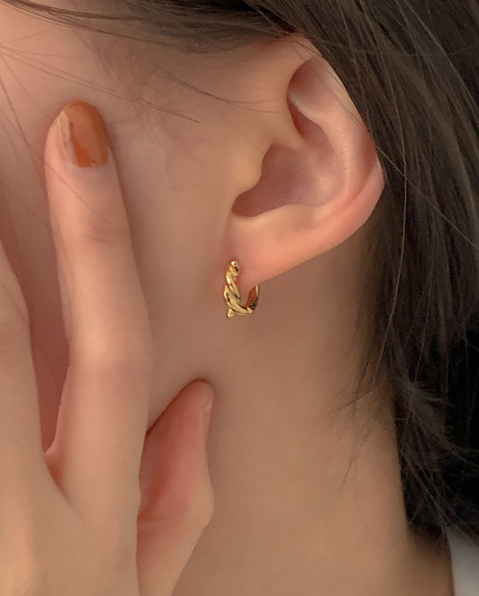 [925 Silver] Lion ring earrings E 122